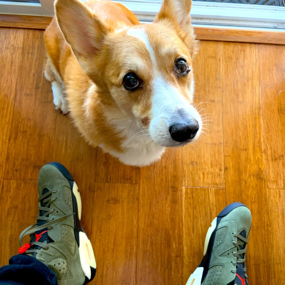 Meet your Posher, John